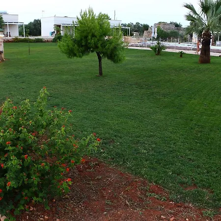 Stella Marina Alliste