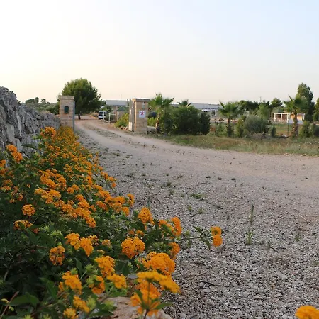 Stella Marina 4* Alliste