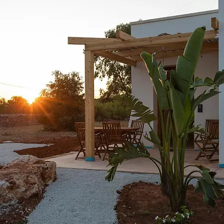 Stella Marina Alliste