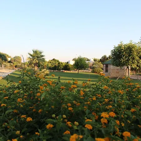 Stella Marina Bed & Breakfast