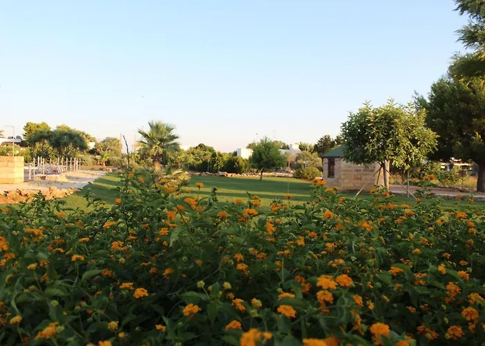 Stella Marina Отель типа 